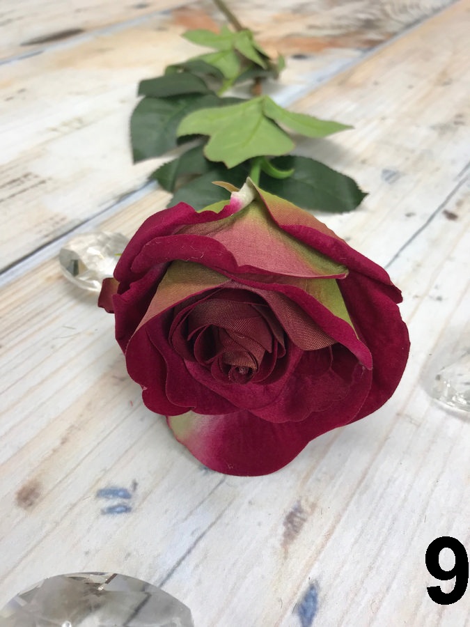 Роза SUN490  Интернет-магазин Feron Flower 