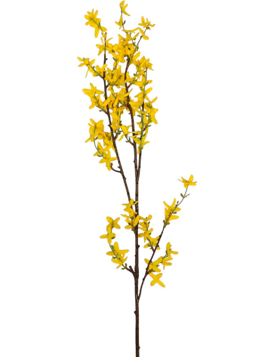 Форзиция 9144-10  Интернет-магазин Feron Flower 