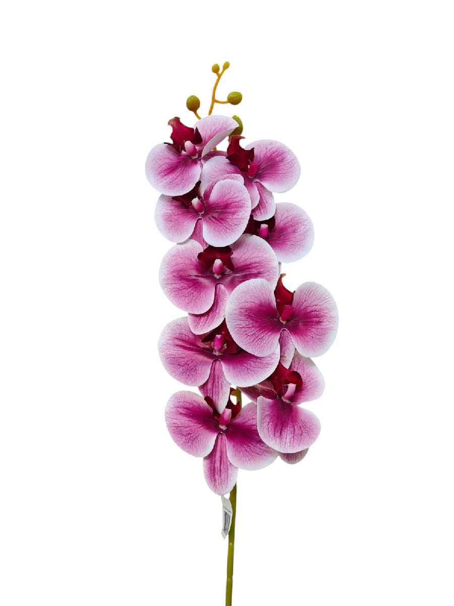 Орхидея AJ48131  Интернет-магазин Feron Flower 