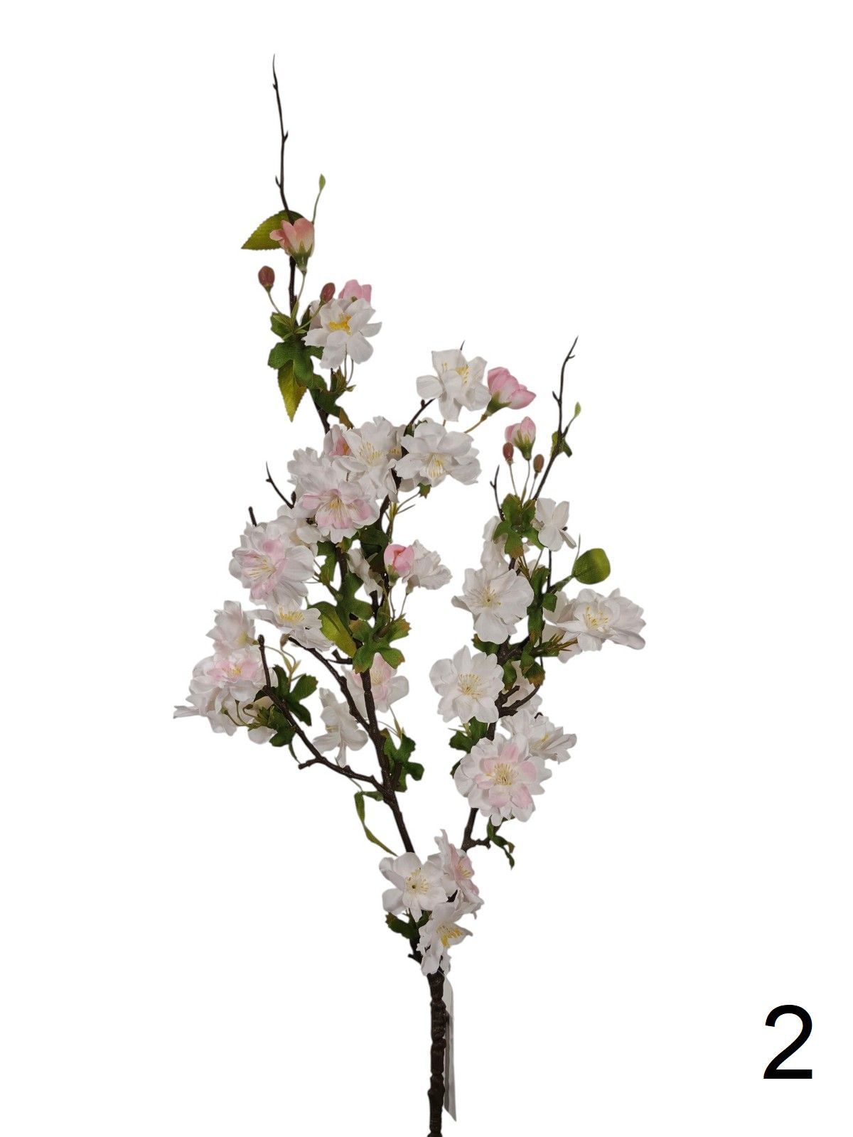 Яблонь FL-QH121  Интернет-магазин Feron Flower 