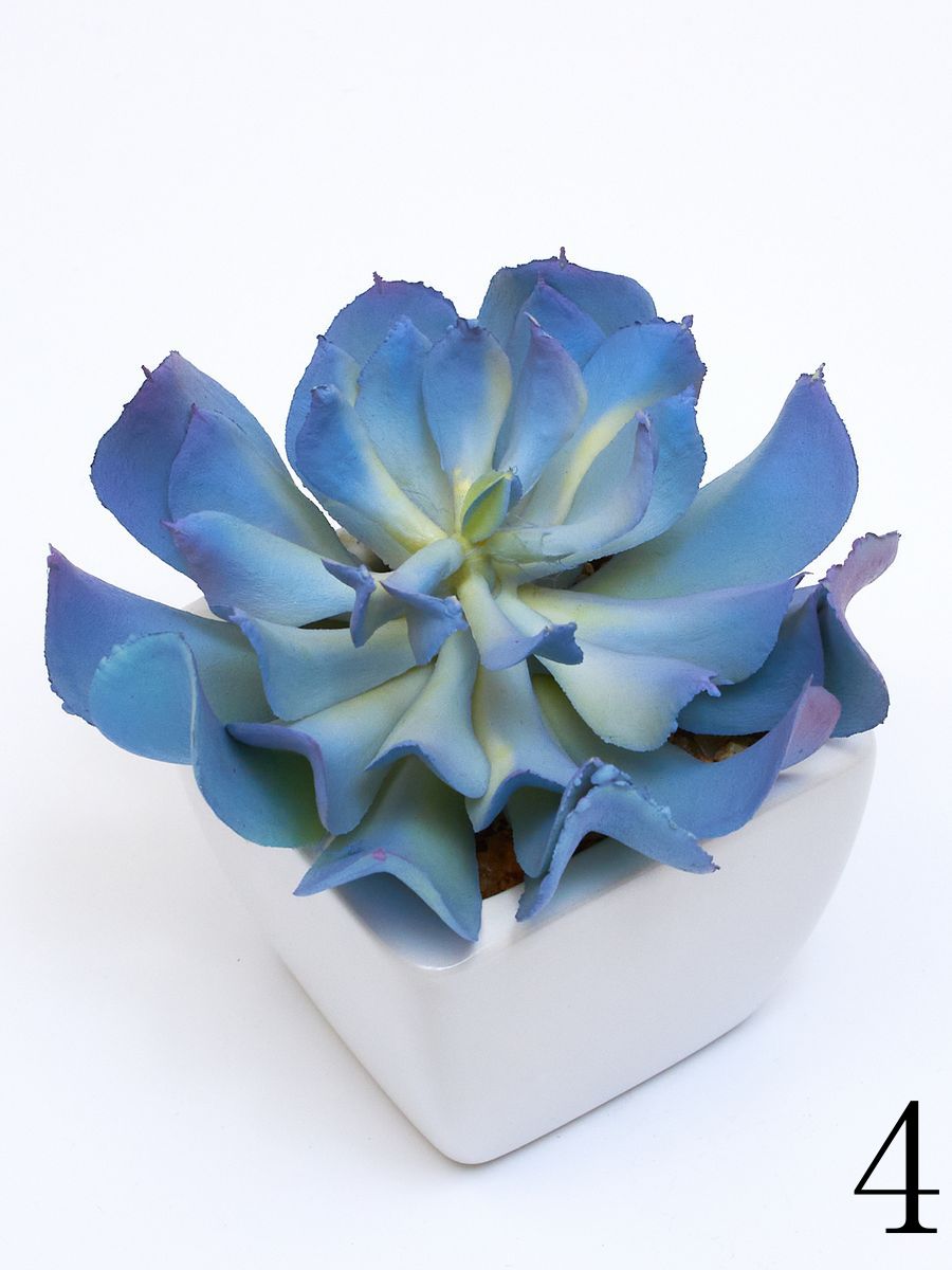Суккулент ART17771  Интернет-магазин Feron Flower 