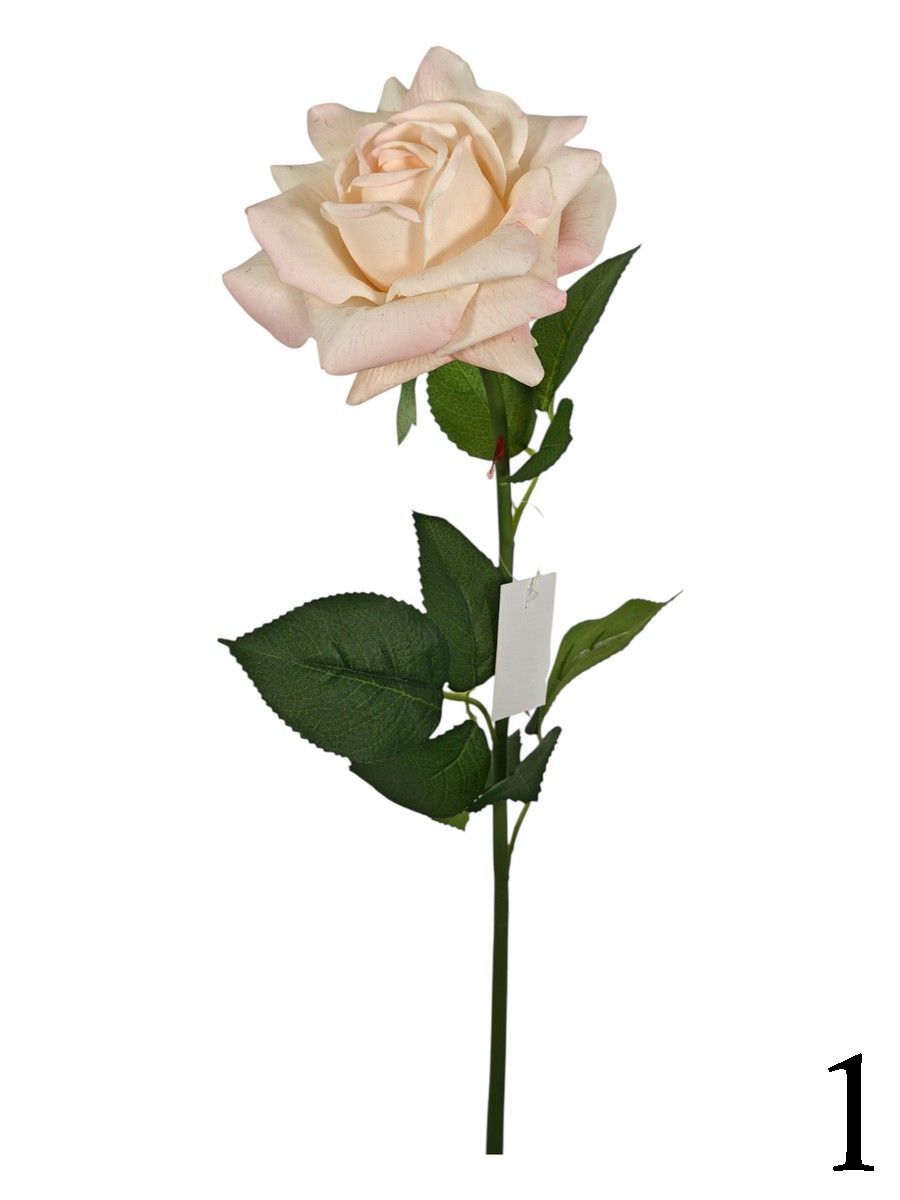 Роза FL-QH128  Интернет-магазин Feron Flower 