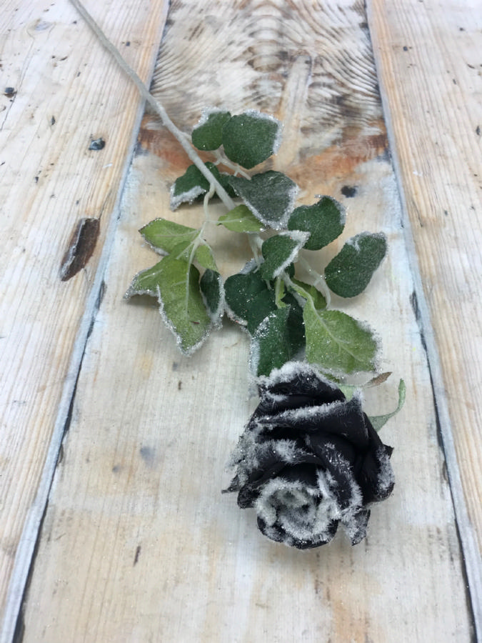 Роза снежная 13629  Интернет-магазин Feron Flower 