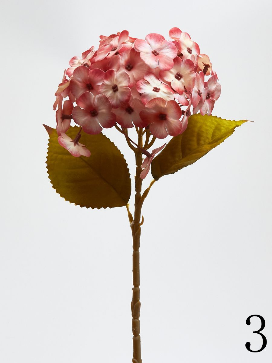 Гортензия K04234  Интернет-магазин Feron Flower 