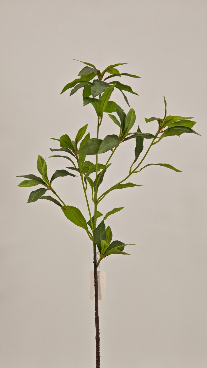 Зелень REN-223 зеленый   Интернет-магазин Feron Flower 