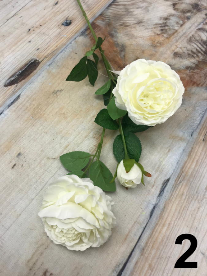 Роза YJ001  Интернет-магазин Feron Flower 