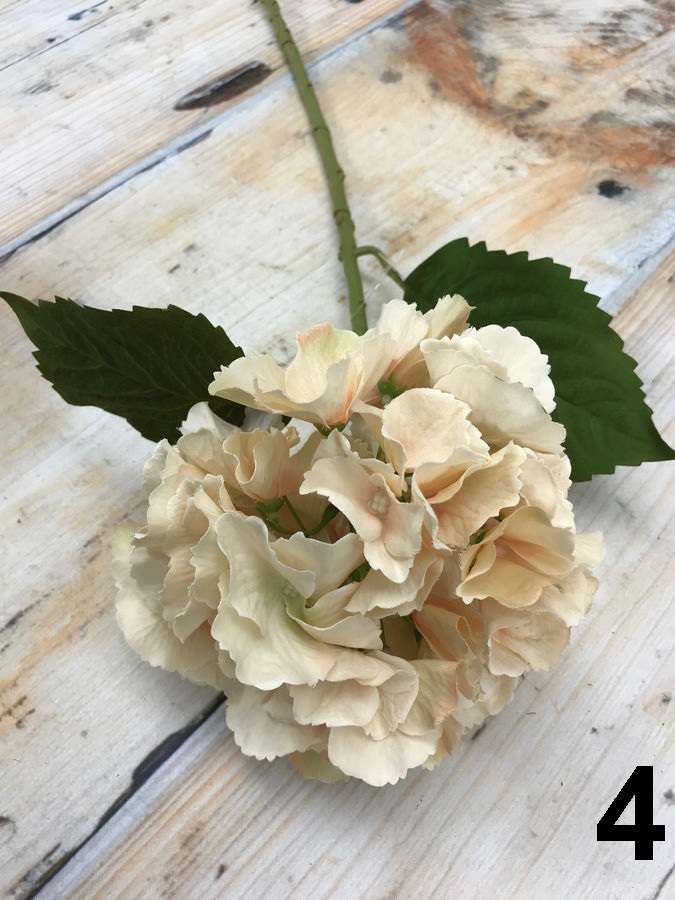 Гортензия DY14-44  Интернет-магазин Feron Flower 