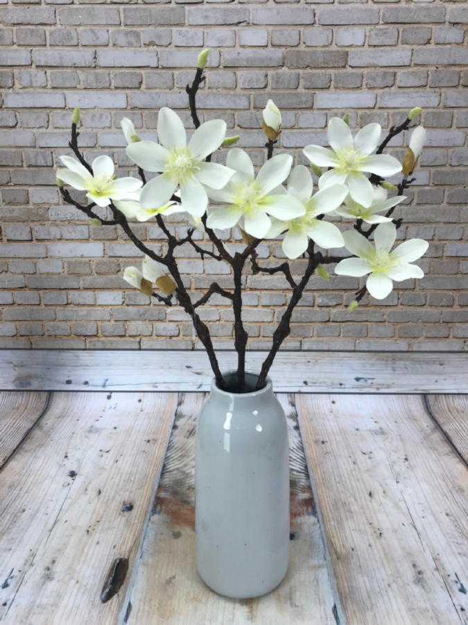 Магнолия GK914  Интернет-магазин Feron Flower 