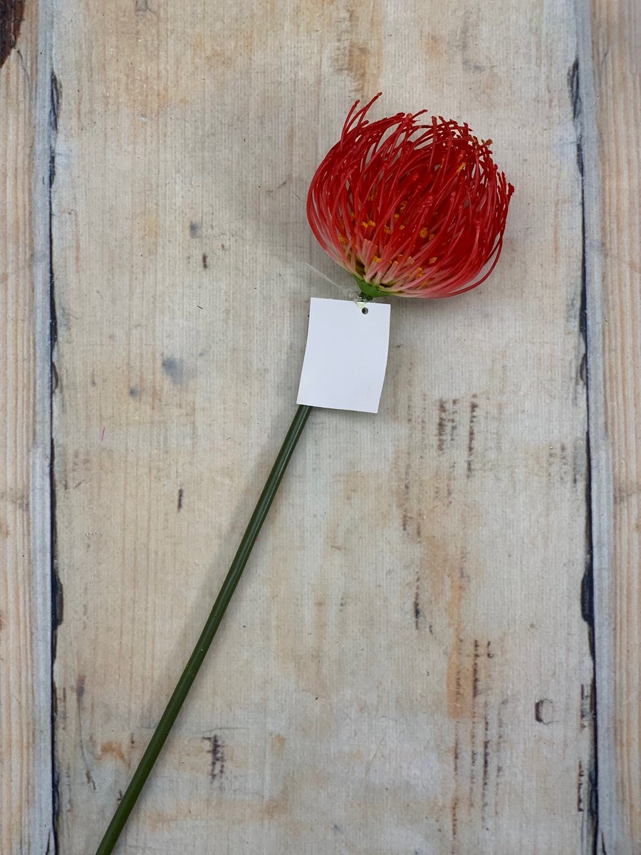 Леукоспермум ART16023  Интернет-магазин Feron Flower 