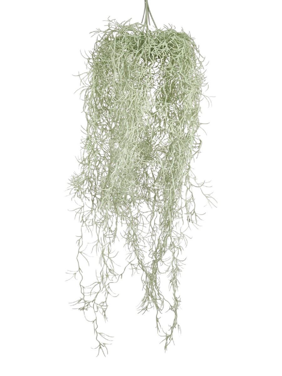 Тилансия 9165-1102  Интернет-магазин Feron Flower 