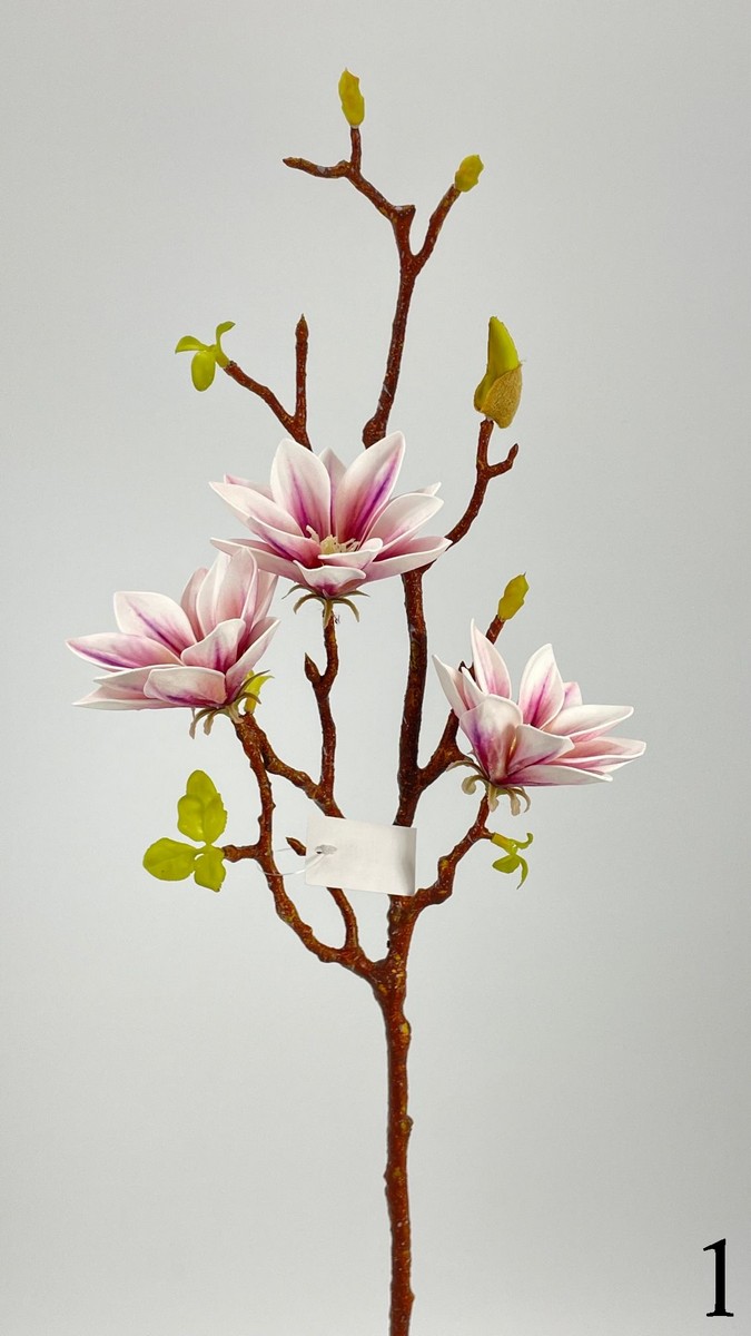 Магнолия FL-QH054  Интернет-магазин Feron Flower 