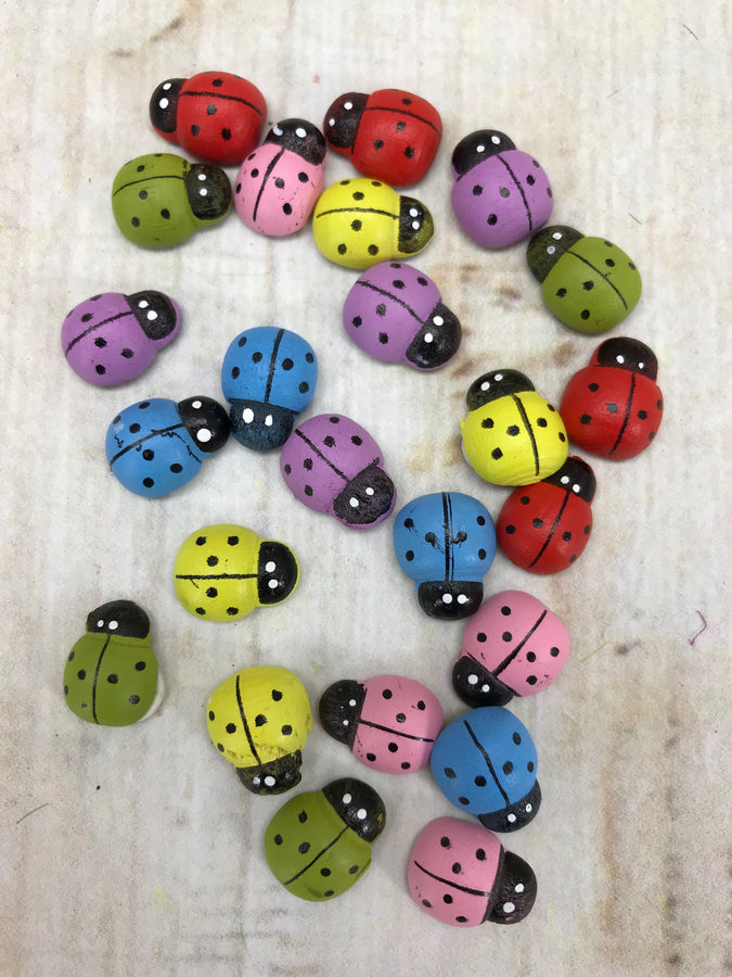 Божья коровка mix №2  Интернет-магазин Feron Flower 