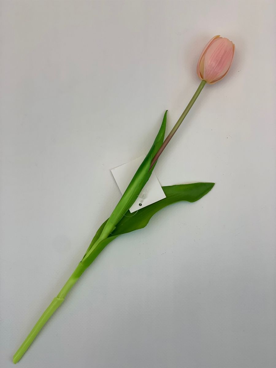 Тюльпан K04028  Интернет-магазин Feron Flower 