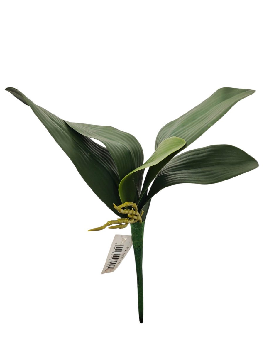 Лист орхидеи FL-QH127  Интернет-магазин Feron Flower 