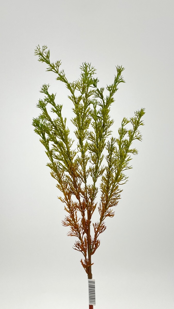 Букет зелени XA878-3  Интернет-магазин Feron Flower 