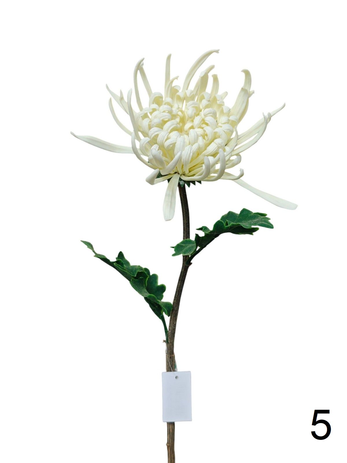 Хризантема FL-QH065  Интернет-магазин Feron Flower 