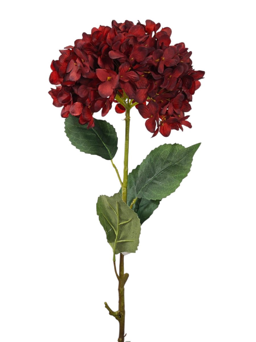Гортензия FL-QH134  Интернет-магазин Feron Flower 
