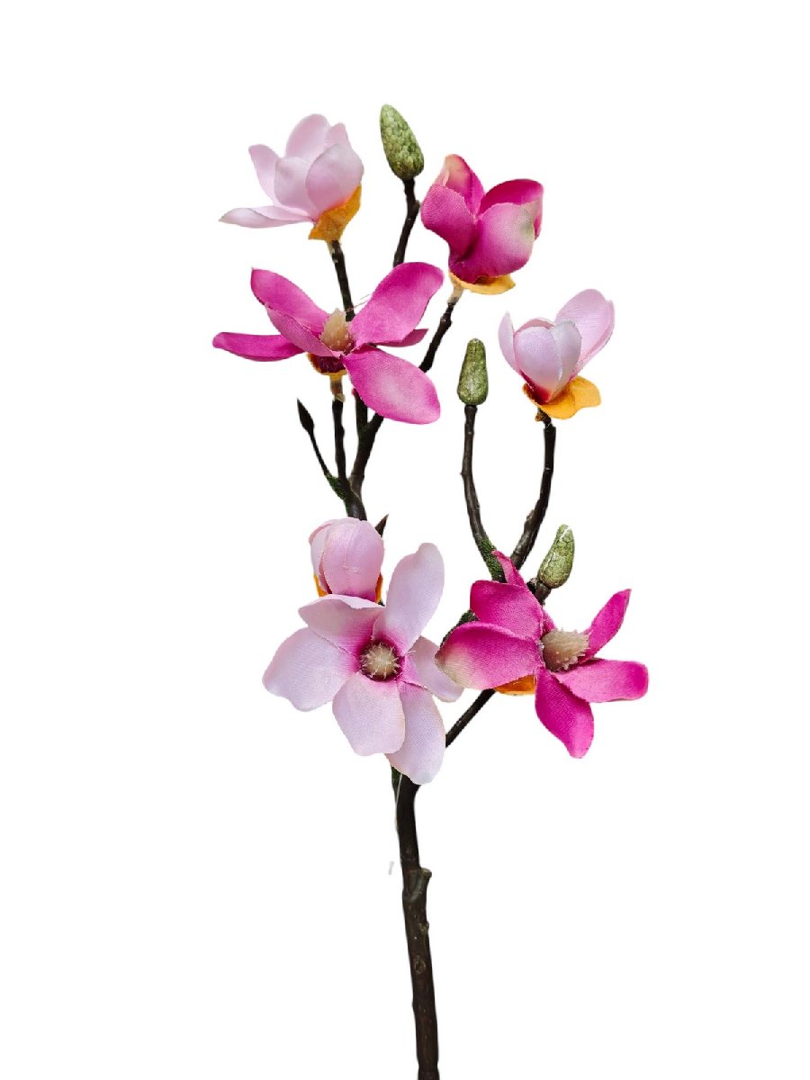 Магнолия 133122  Интернет-магазин Feron Flower 