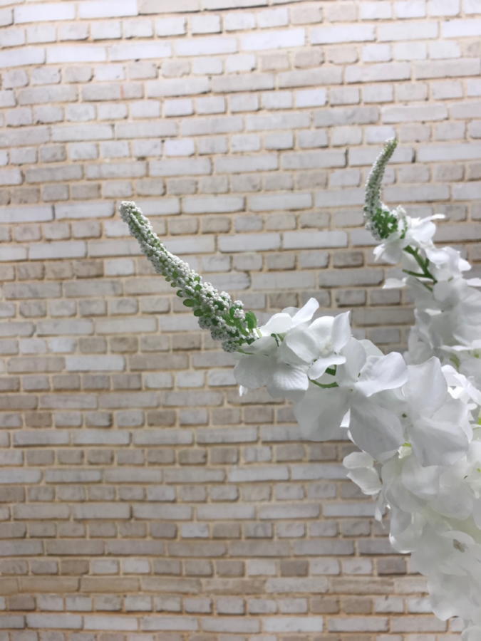 Дельфиниум K03880  Интернет-магазин Feron Flower 
