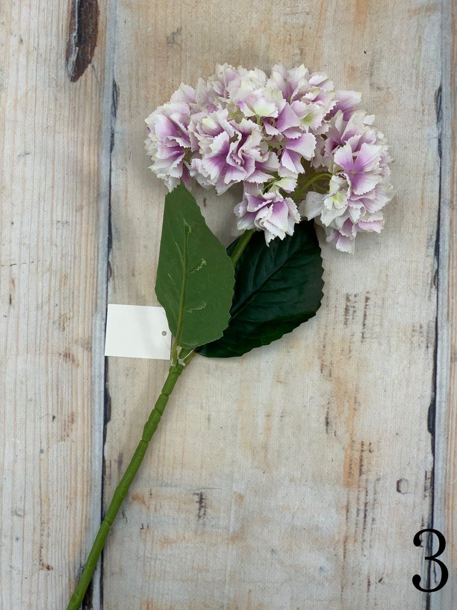 Гортензия K04077  Интернет-магазин Feron Flower 