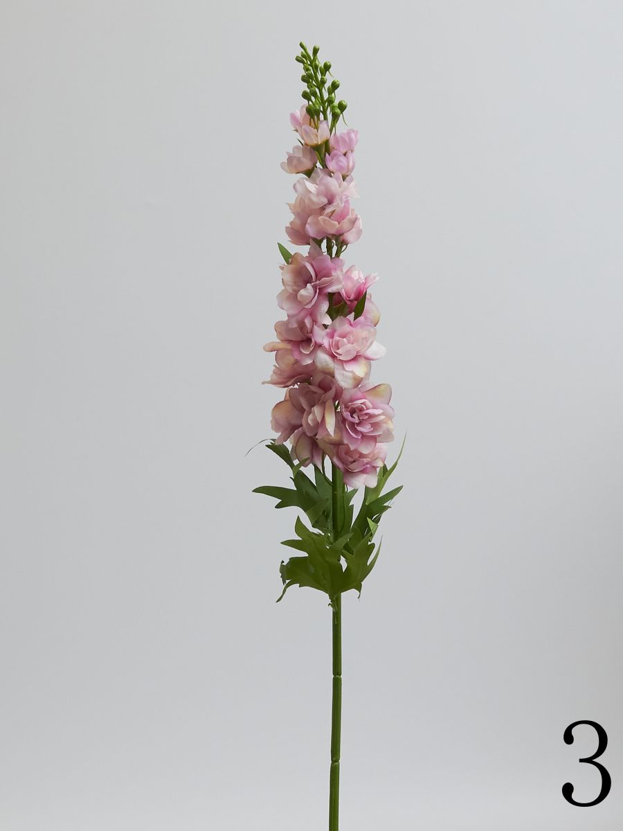 Дельфиниум SUN498  Интернет-магазин Feron Flower 