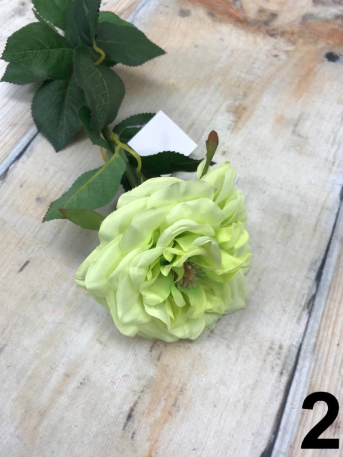 Роза K03737  Интернет-магазин Feron Flower 