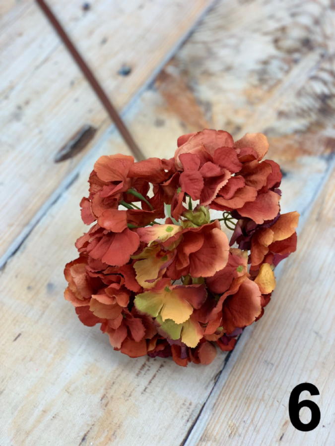 Гортензия 15CAN5796  Интернет-магазин Feron Flower 