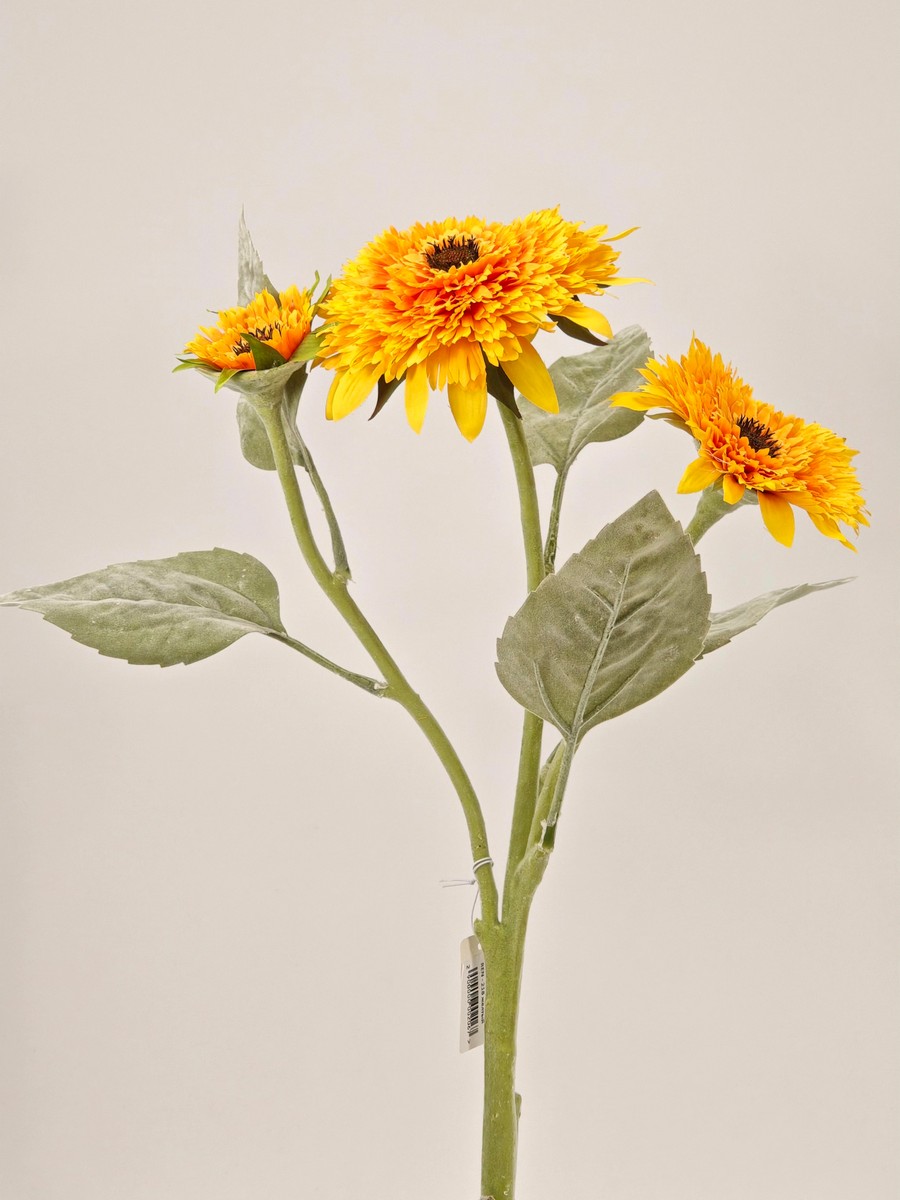 Подсолнух REN-218   Интернет-магазин Feron Flower 