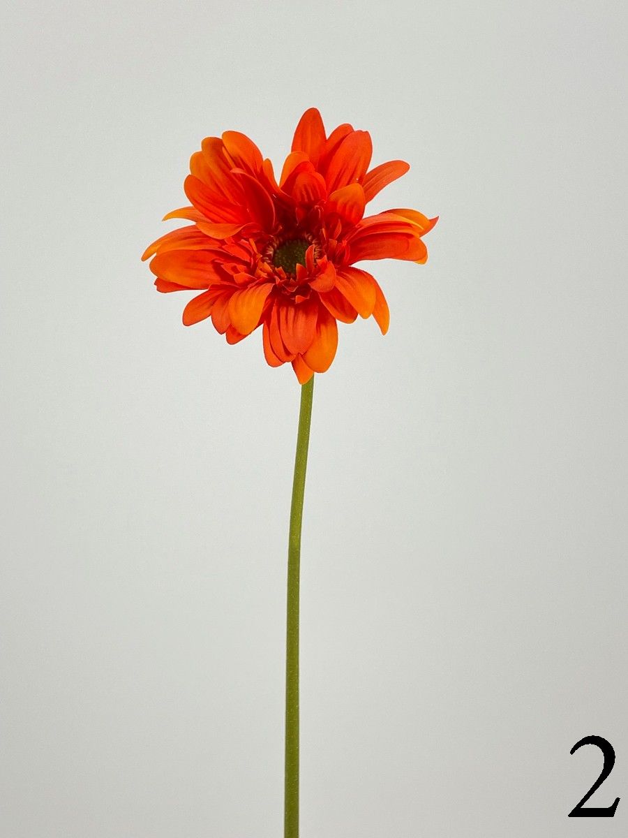 Гербера FL-QH076  Интернет-магазин Feron Flower 