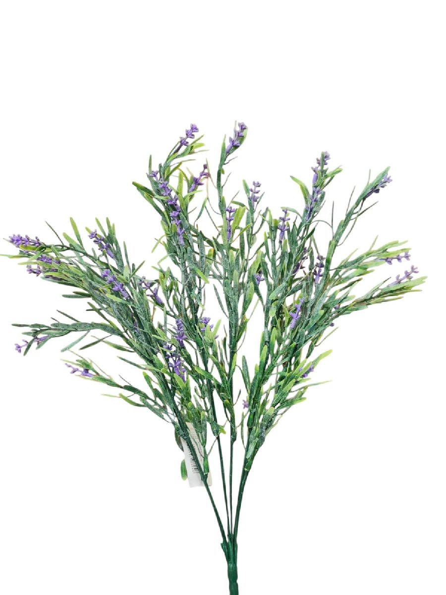 Лаванда 91CAN2069072  Интернет-магазин Feron Flower 