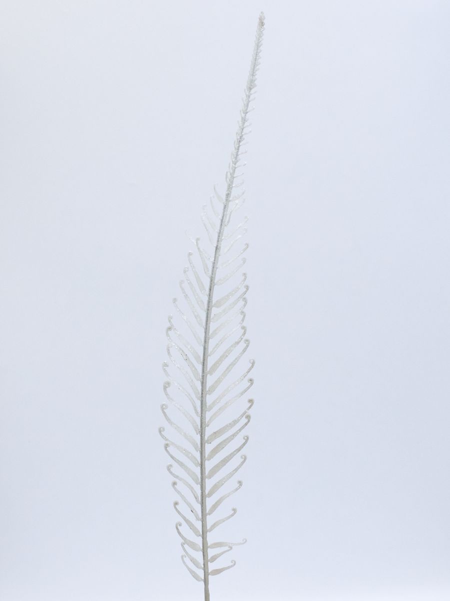 Папоротник XART017  Интернет-магазин Feron Flower 