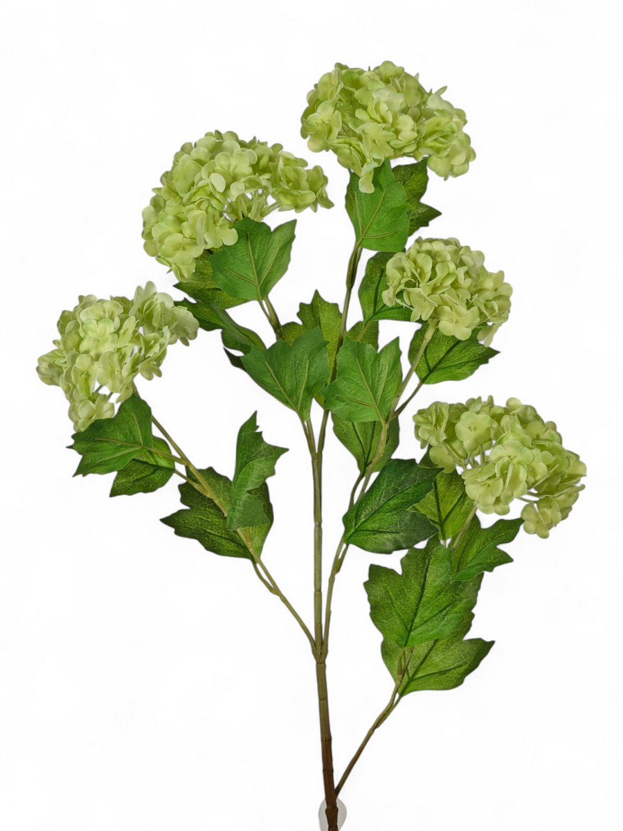 Вибурнум FL-QH001   Интернет-магазин Feron Flower 