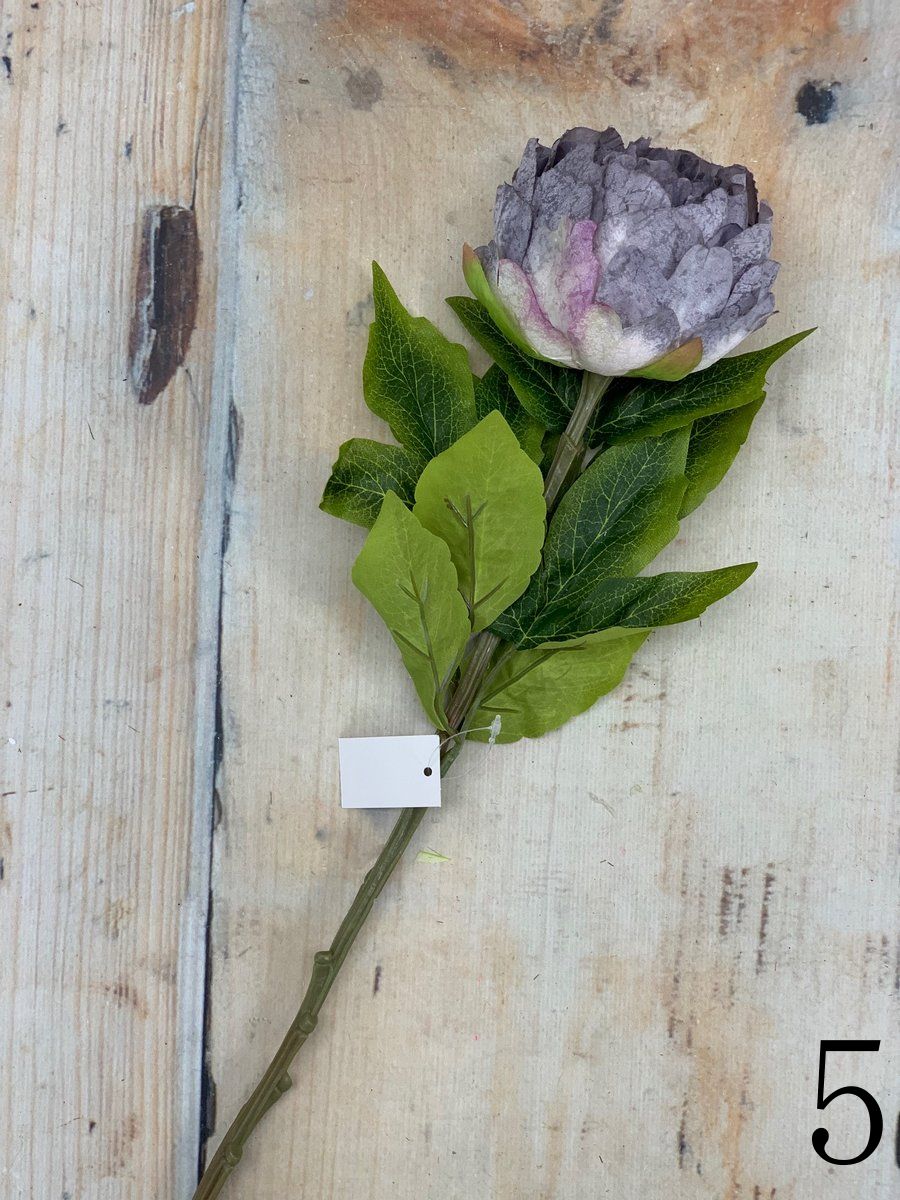 Пион VIP2135  Интернет-магазин Feron Flower 