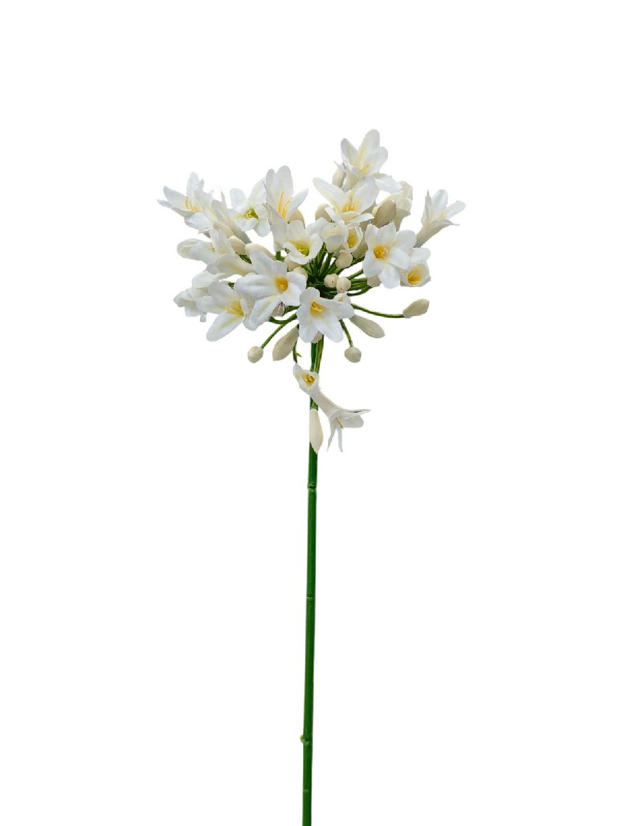 Лук REN-225 белый   Интернет-магазин Feron Flower 