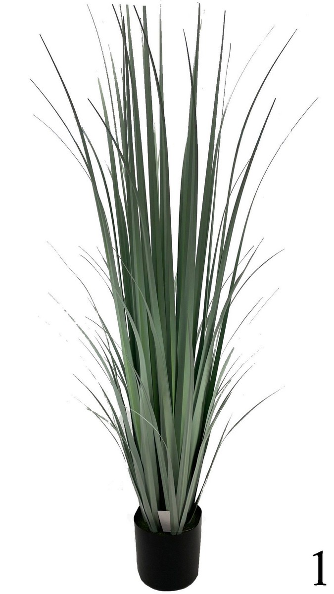 Осока в горшке 7256-WH5  Интернет-магазин Feron Flower 