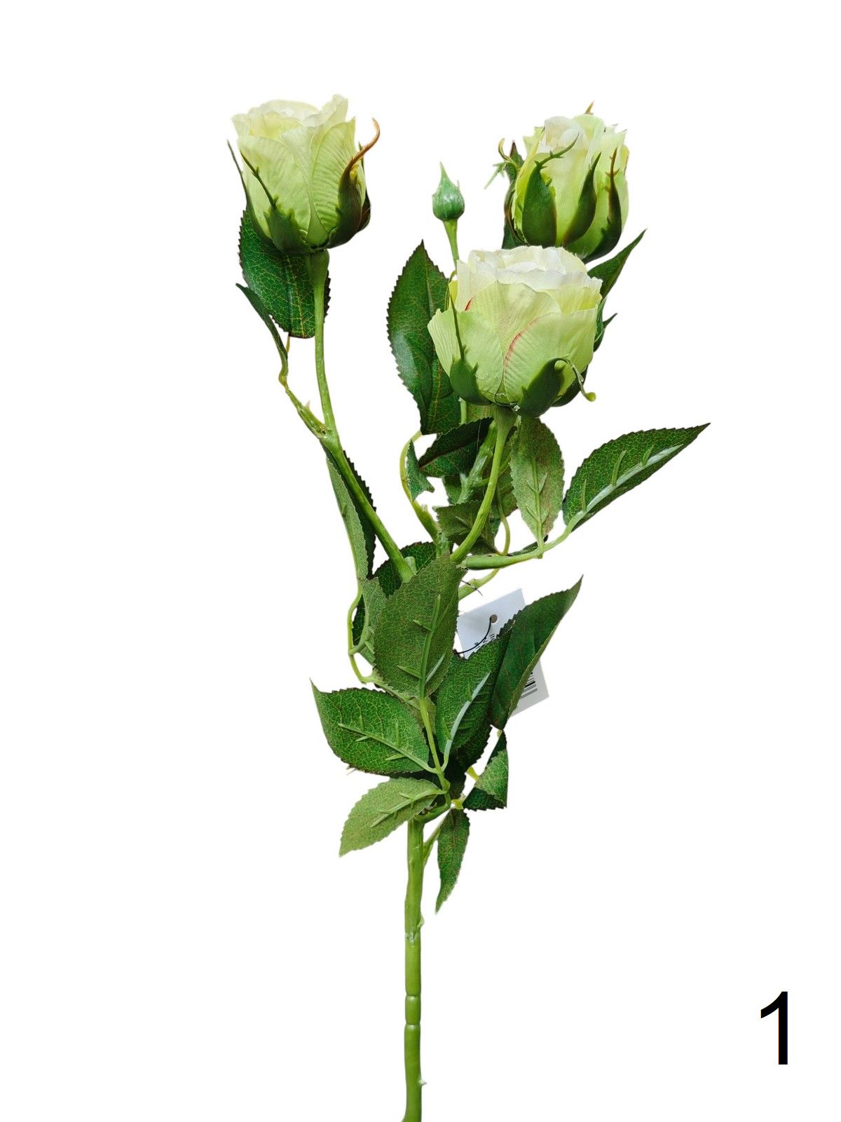 Роза SUN544  Интернет-магазин Feron Flower 