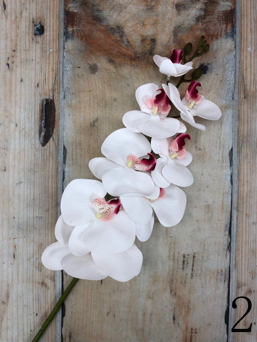 Орхидея GL03351  Интернет-магазин Feron Flower 