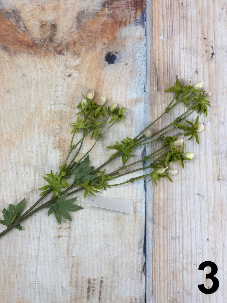 Филадендрон 3008  Интернет-магазин Feron Flower 