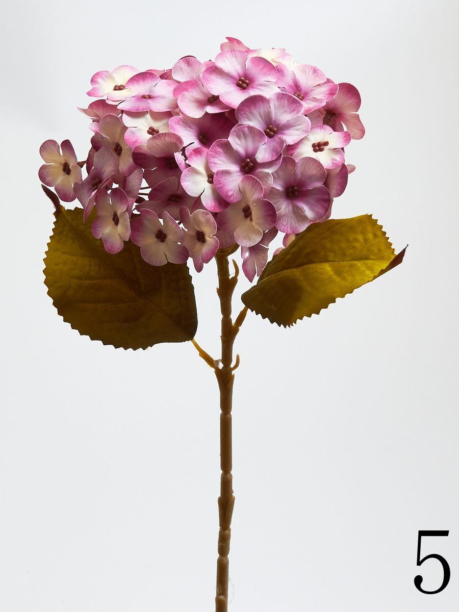 Гортензия K04234  Интернет-магазин Feron Flower 