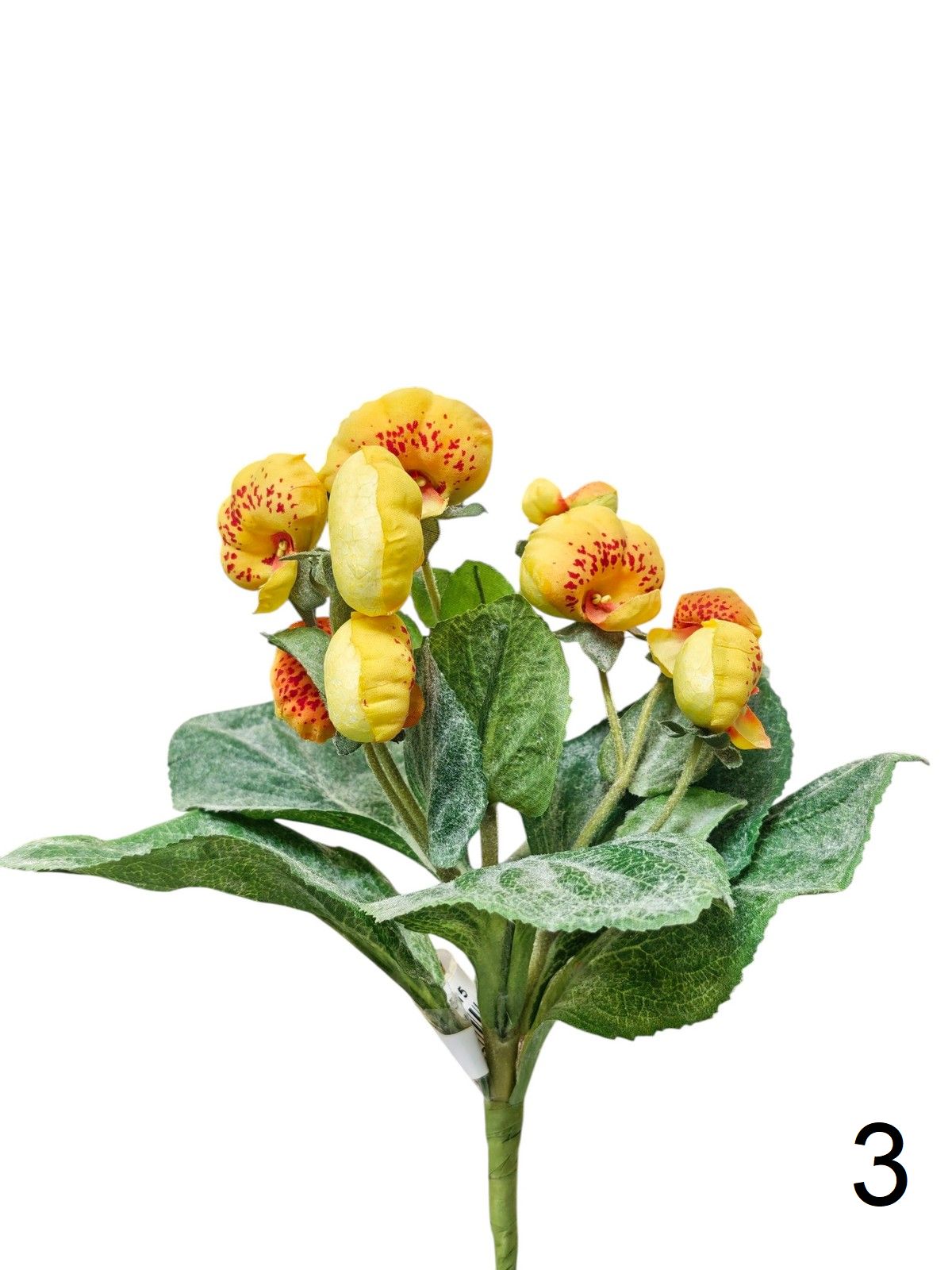 Пантофелек 6513  Интернет-магазин Feron Flower 