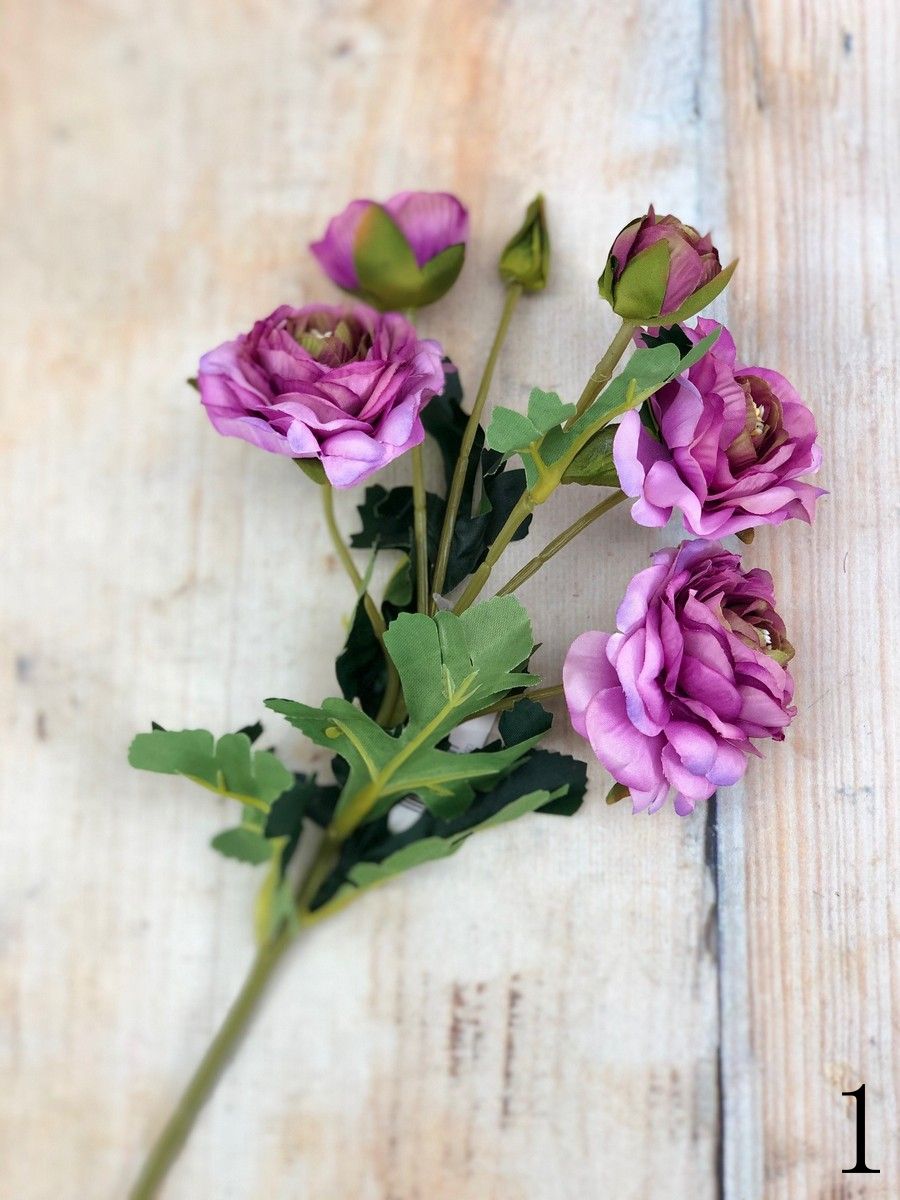 Ранункул CZ045  Интернет-магазин Feron Flower 