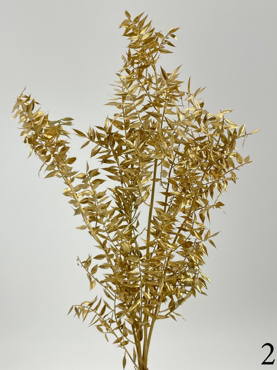 Рускус пучок 5-6 шт. 20gr   Интернет-магазин Feron Flower 