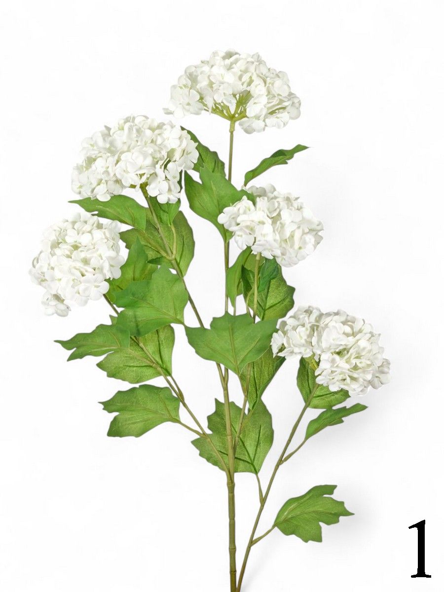 Вибурнум FL-QH001   Интернет-магазин Feron Flower 