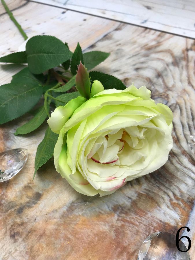 Роза SUN520  Интернет-магазин Feron Flower 