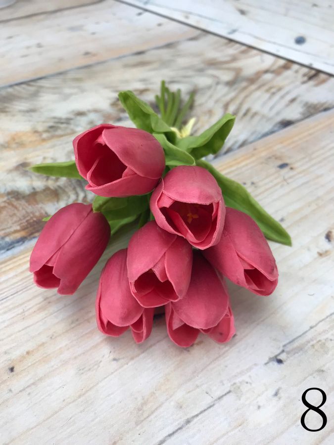 Тюльпан 81CAN056  Интернет-магазин Feron Flower 