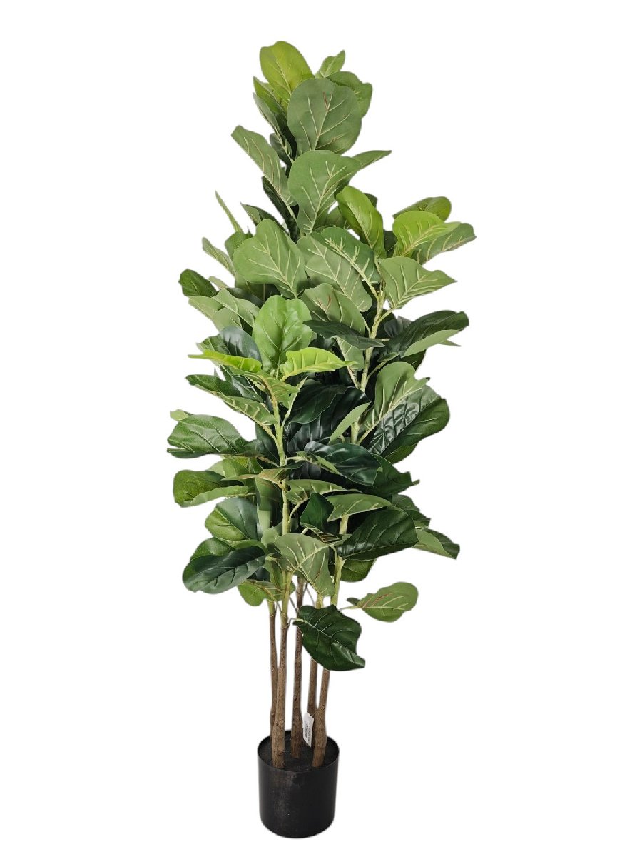 Фикус FL-QH139  Интернет-магазин Feron Flower 