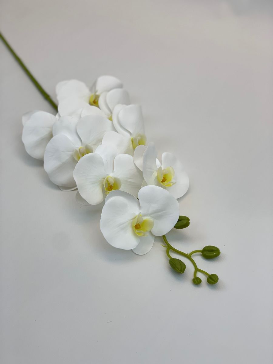 Орхидея VIP1785  Интернет-магазин Feron Flower 