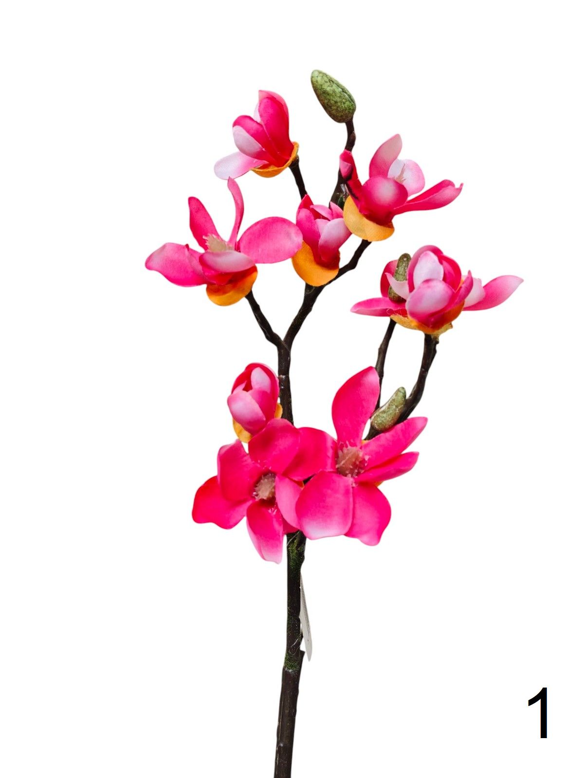 Магнолия 133122  Интернет-магазин Feron Flower 