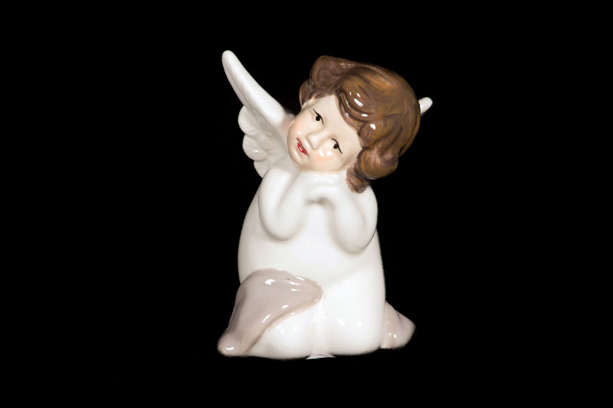 Ангел JY14F122CB  Интернет-магазин Feron Flower 