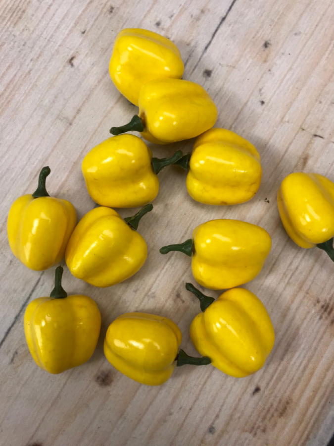 Перец желтый X-17  Интернет-магазин Feron Flower 